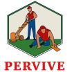 Pervive