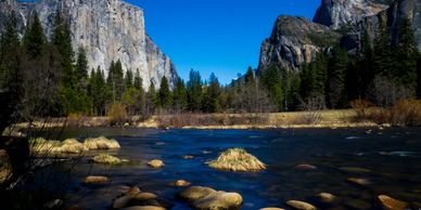 San Francisco Yosemite Park Tour