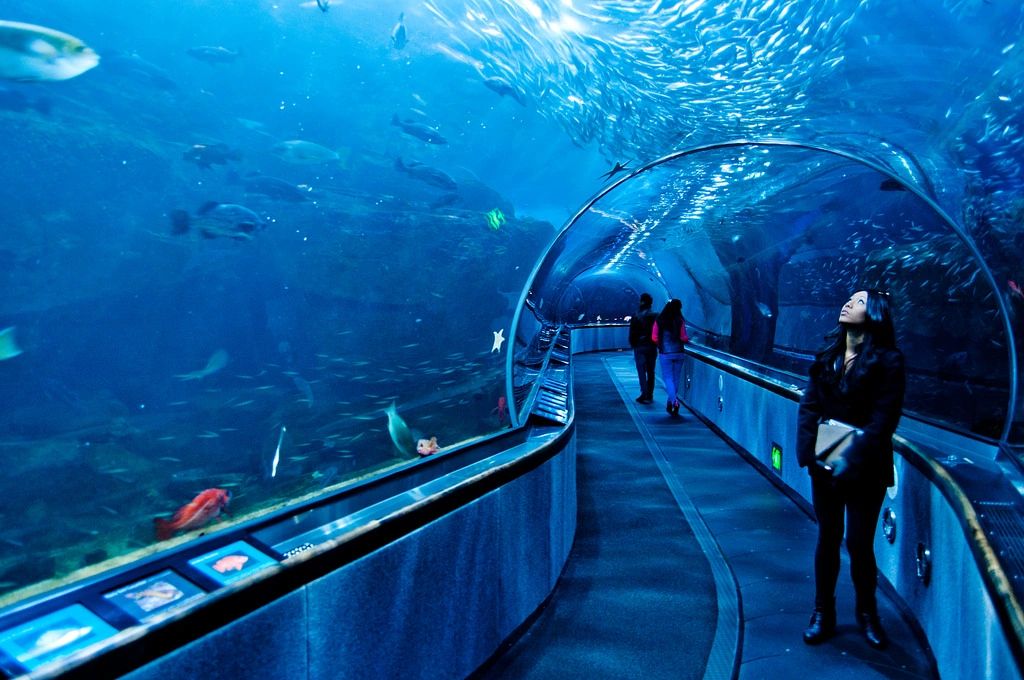 Aquarium