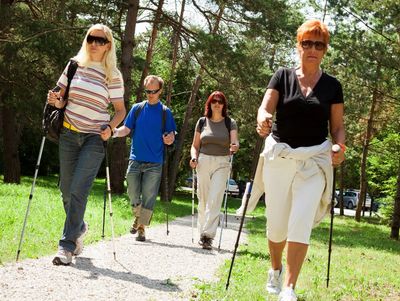 Four adults walking with trekking poles on a sunny forest path.