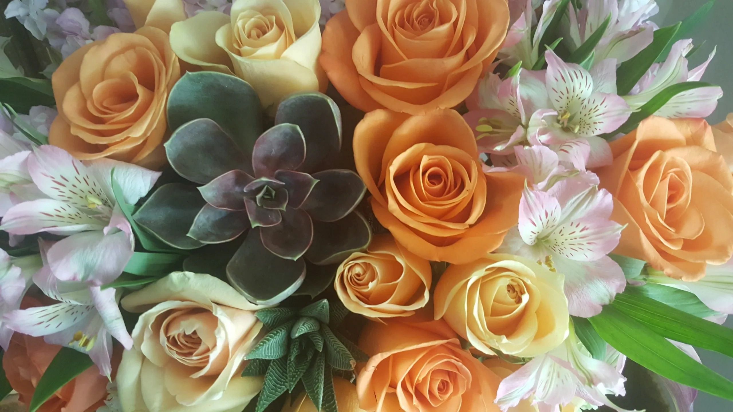 Scottsdale Paradise Flowers Flowers Delivery, Florist