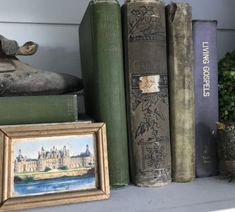 Books and a photo on a shelf