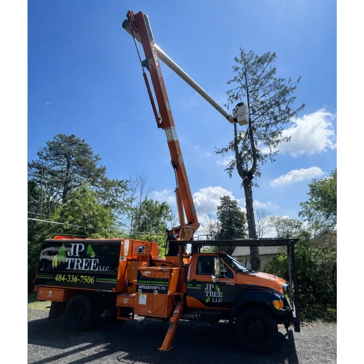 An arborist elevated in the boom of JP TREE LLC bucket truck cutting down a tall tree on a clear sun
