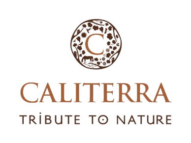 Logo Vinícola Caliterra