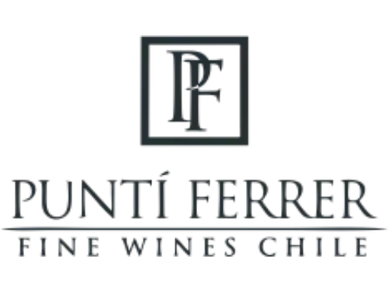 Logo Vinícola Puntí Ferrer