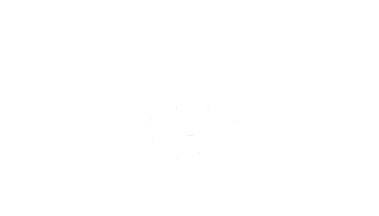 Velvet Ink Tattoos