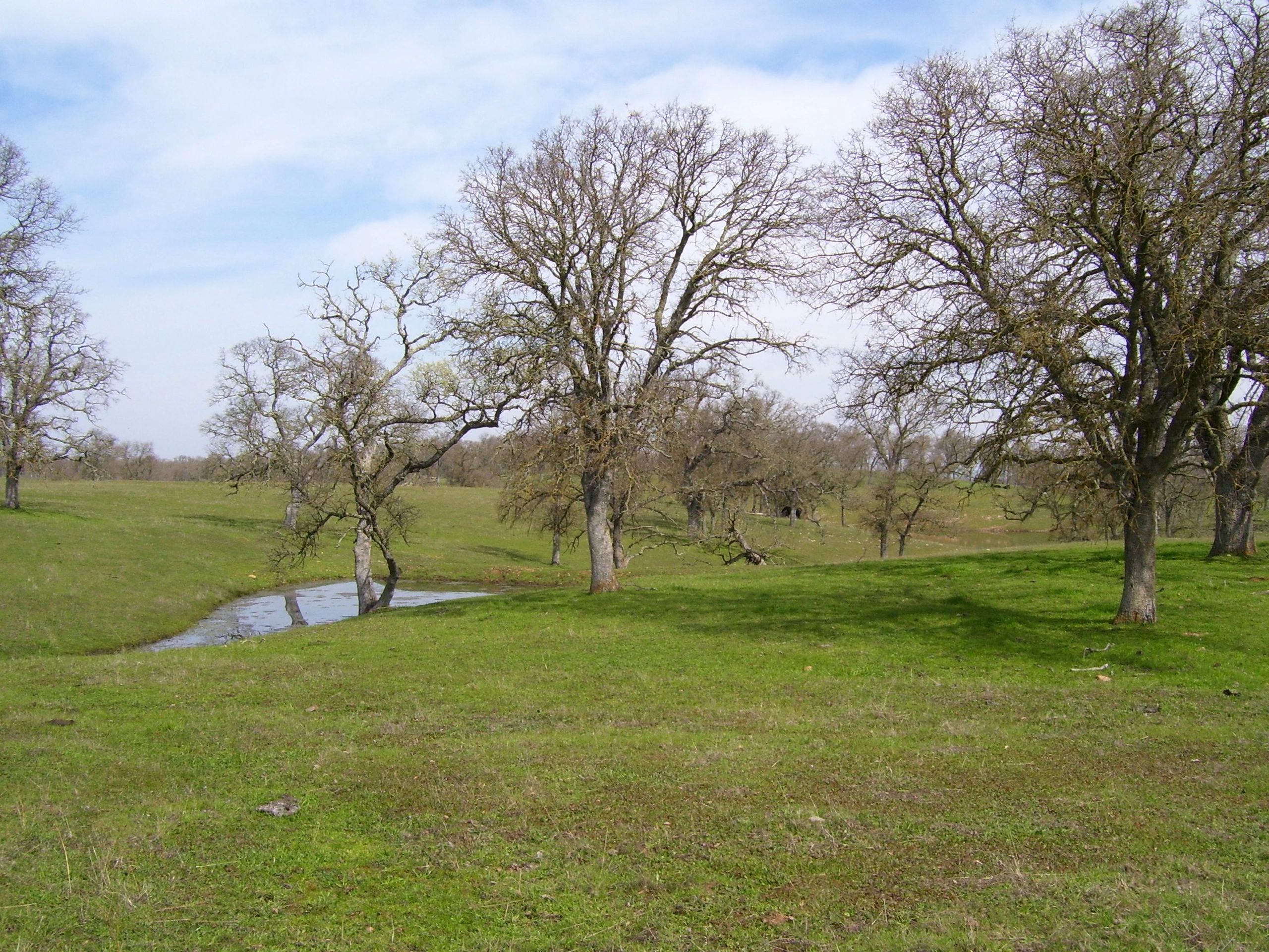 Wallace Environmental Consulting, Inc. Home