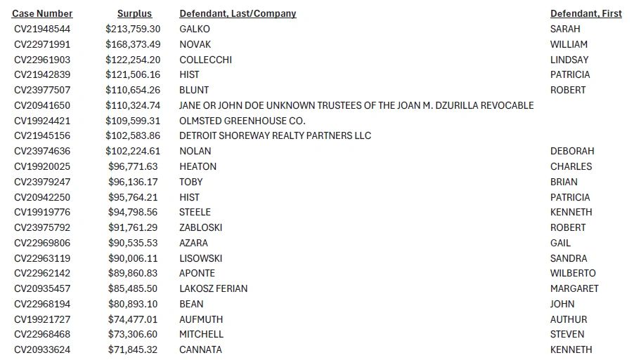 Table listing legal case numbers, surpluses, and defendant details.