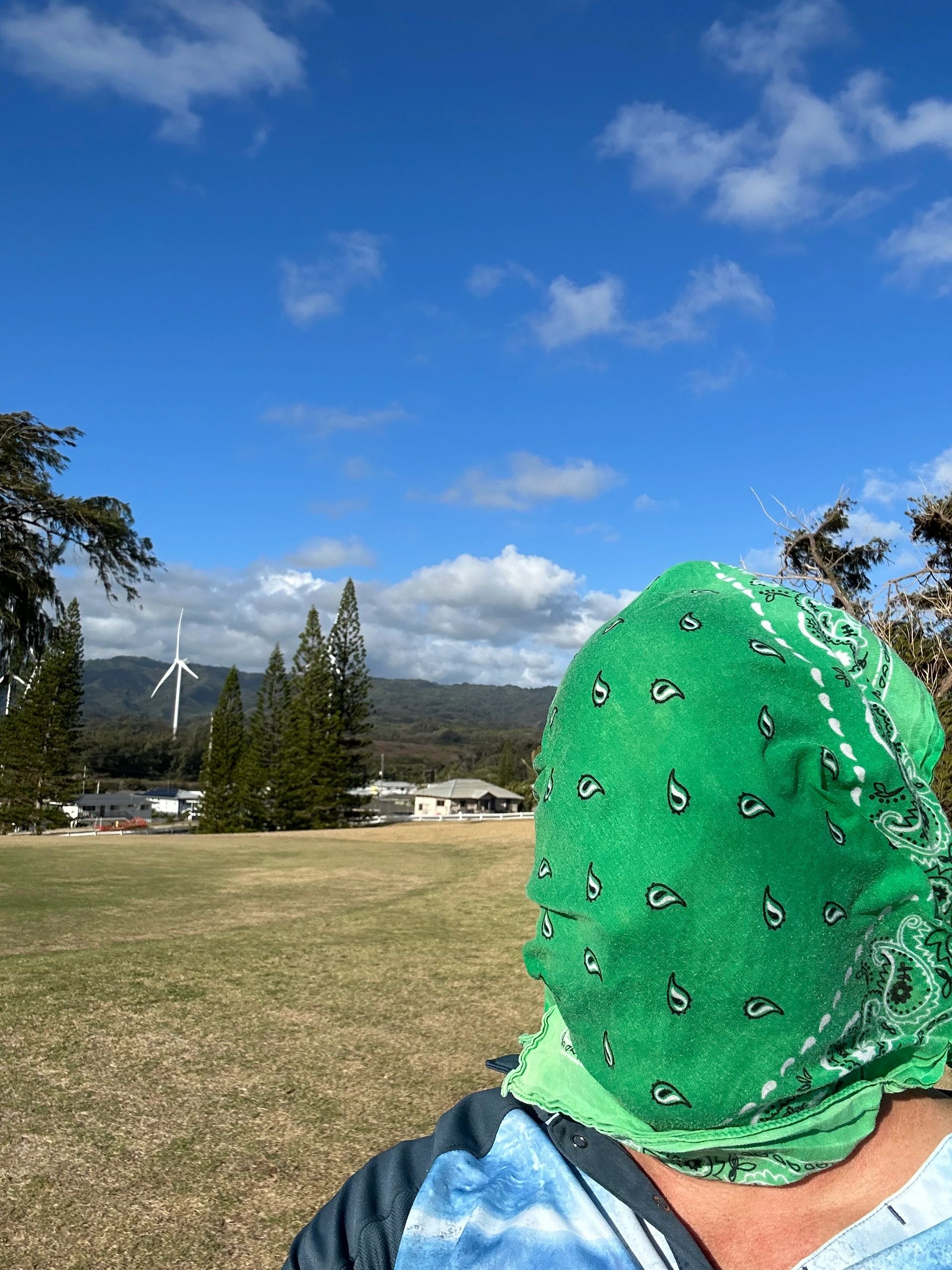 Veiled Don Quixote on the fields of Kahuku Oahu 