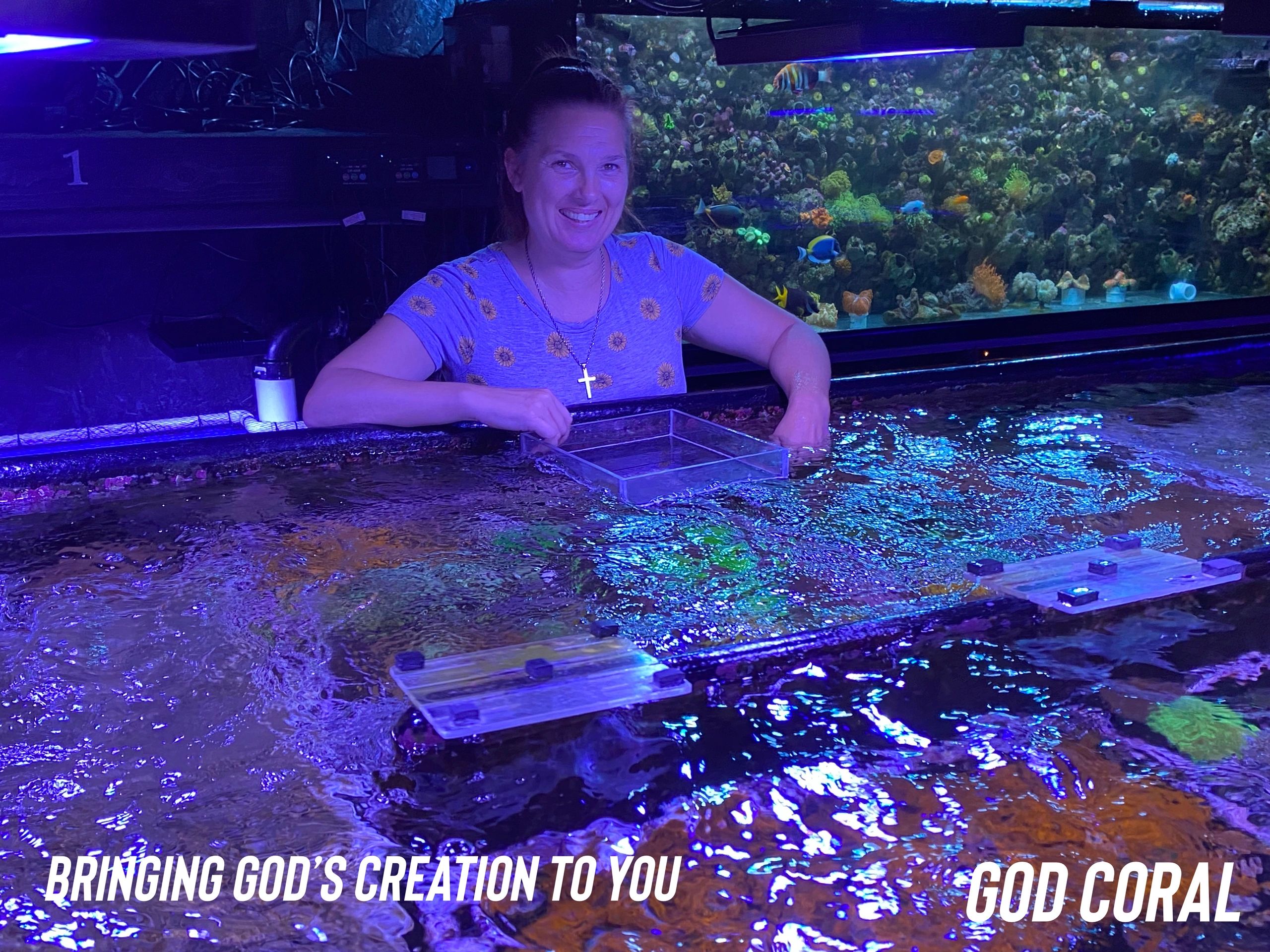God Coral