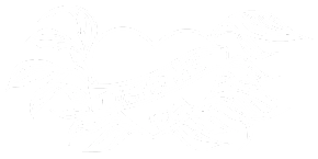 TGY page 