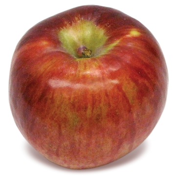 Cortland apple