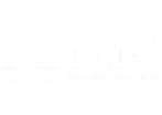 Badu Experiences