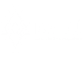 Badu Experiences