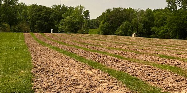 Rows of tilled land ready for planting