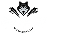 Aplha Mobile Detailing Specialists