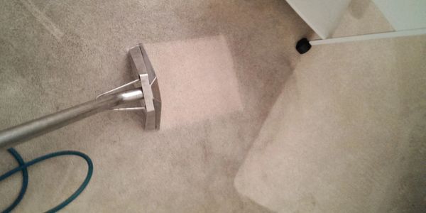 carpet cleaning
carpet restoration
restretching
deep clean
steem clean
steam clean