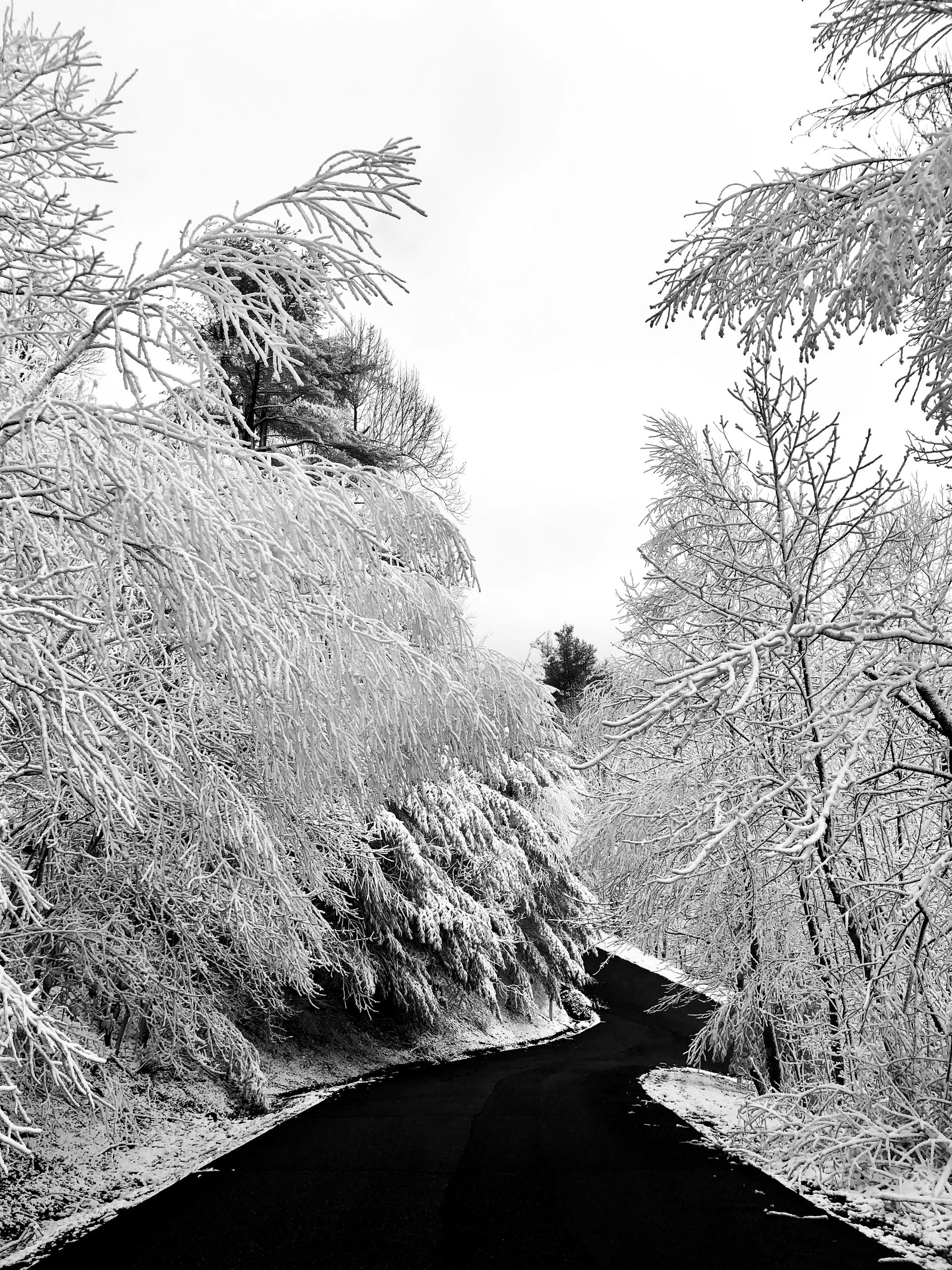 Original Art, Prints Blowing Rock, North Carolina