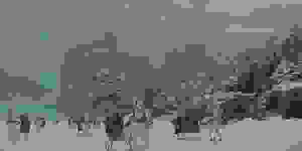 image44