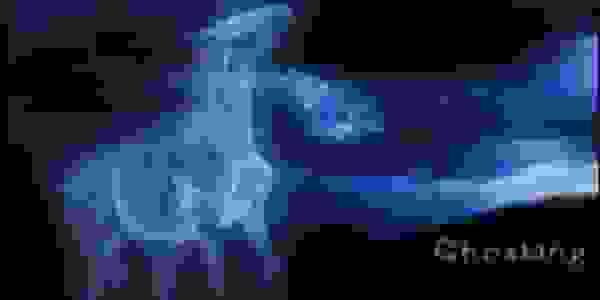 image41