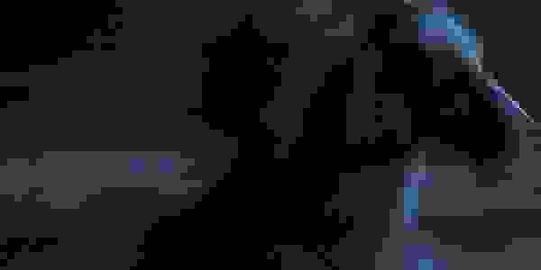 image45