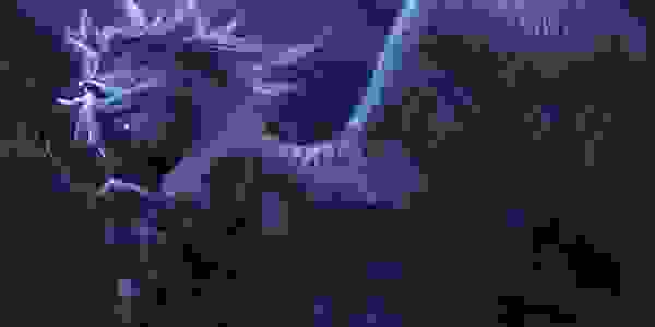 image43