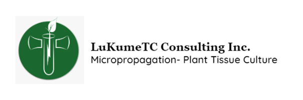 LuKume TC-Plant Micropropagation 