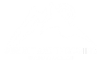 Summit Axe Throwing