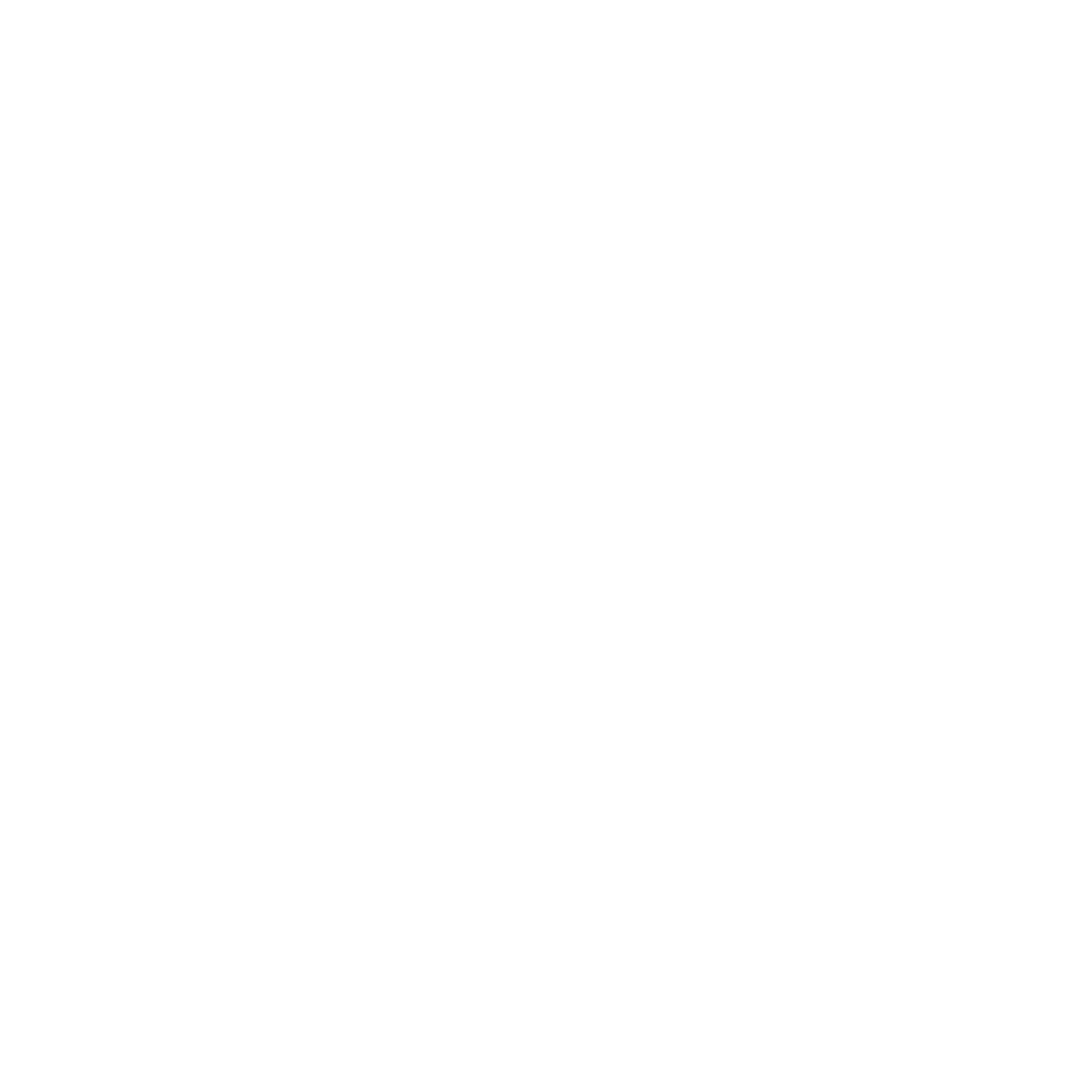 EFS Logo
