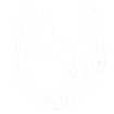 Equestrian Federation of Singapore