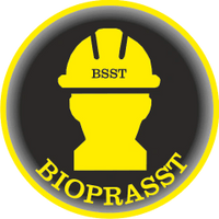 ESPECIALISTAS EN SG-SST