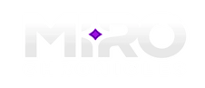 Miro Chronicles
