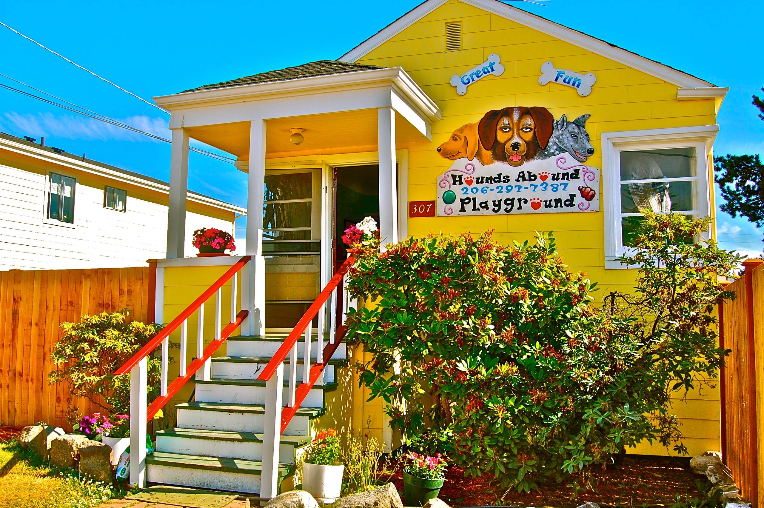 Hounds Abound Seattle Dog Daycare, Dog Daycare, Dog Day Care