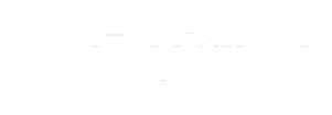 idulting