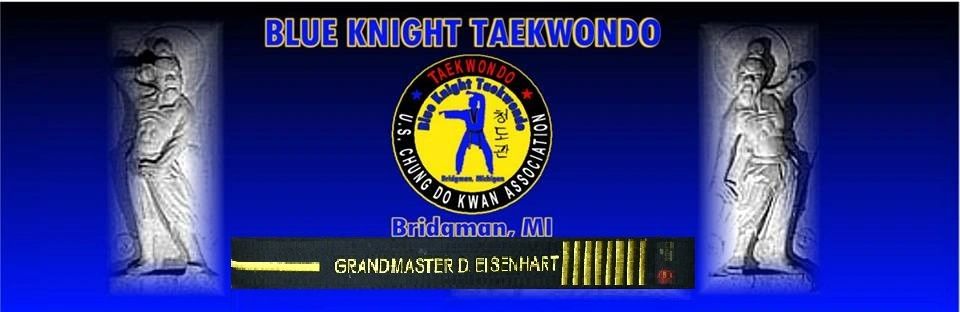 Blue Knight Taekwondo Banner