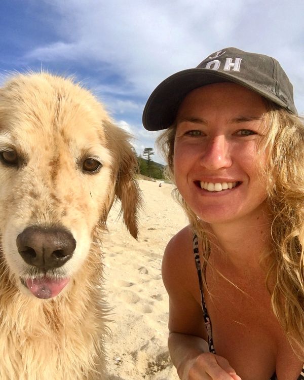 Lord Howe Island Veterinary Clinic