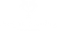 Insight Healing Solutions