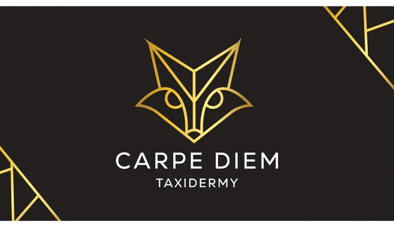 CarpeDiemTaxidermy