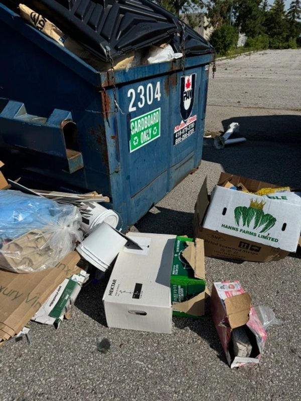 Blue dumpster with cardboard waste.