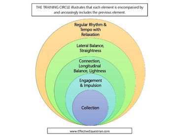 The Dressage Training Circle by Effective Equestrian describes principles included in each level