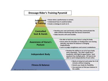 Dressage Rider's Training Pyramid by Effective Equestrian describes levels of dressage rider's skill