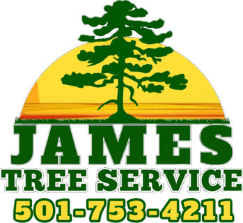 James Tree Service