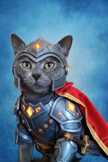 Cat dressed as a futuristic warrior with glowing armor.