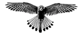 Falcon Home Inspections Inc.