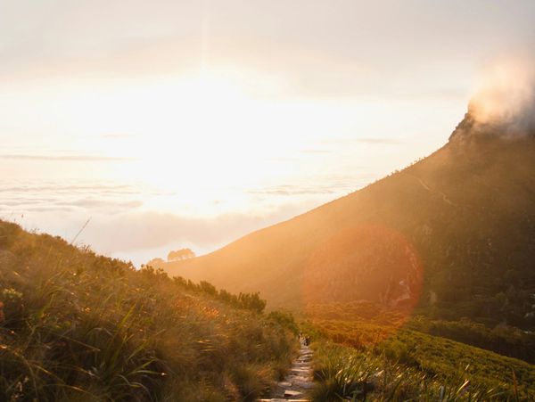 Sunrise illuminating a mountain path surrounded by lush greenery.