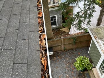 Example of clogged gutters in washington dc metro area.