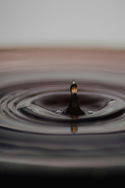 Photo by Jakob Braun on Unsplash.