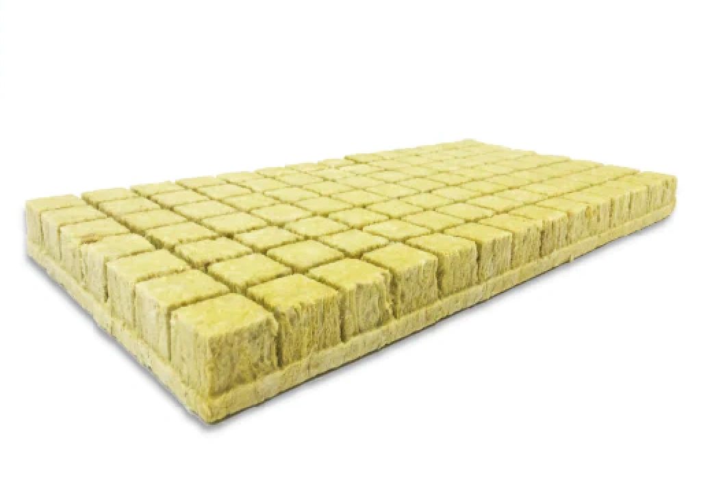 Rockwool growing media in use