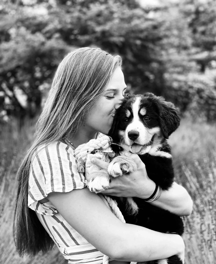 B PAWSitive Pet Sitting Pet Sitting, Dog Walking