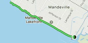 Map showing a green route along Mandeville Lakefront.